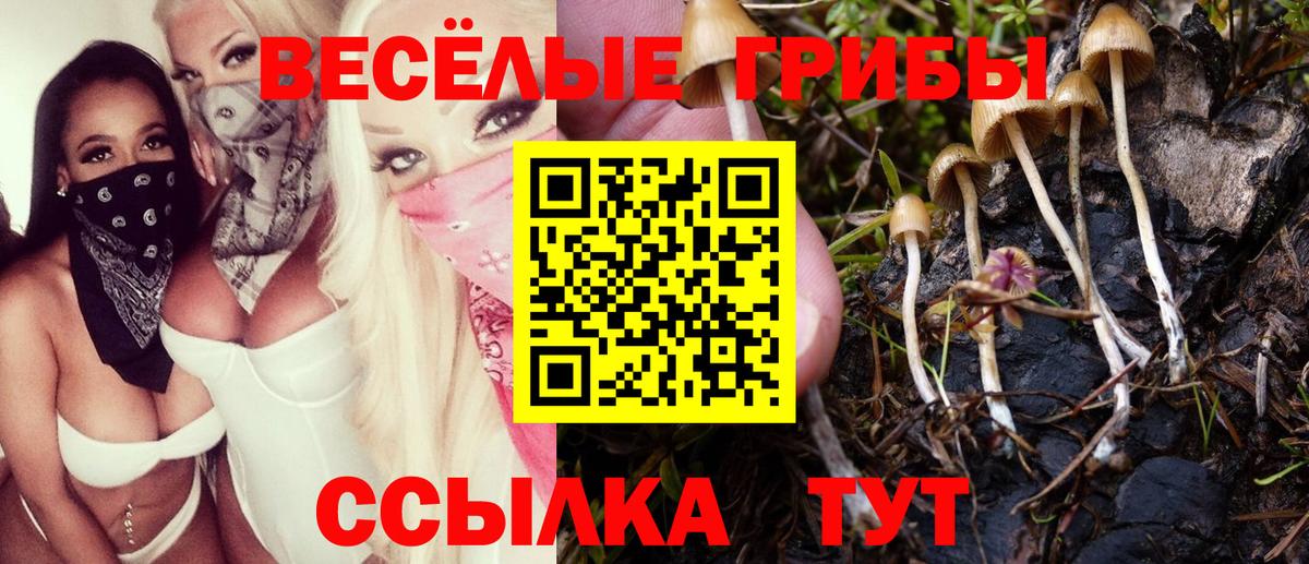 Галлюциногенные грибы GOLDEN TEACHER Обь