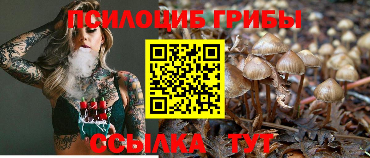 как найти закладки  Вход с VPN  Обь  Псилоцибиновые грибы MAGIC MUSHROOMS 